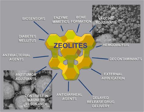 Quel matériau étonnant: Le Zéolythe en applications biomédicales innovantes !