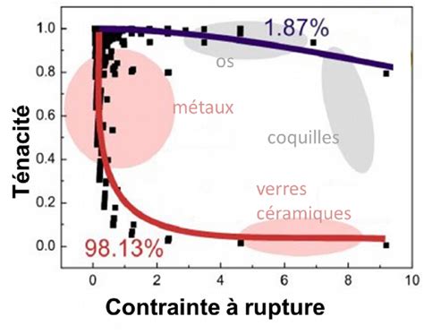  Carbides de métaux: Les champions insoupçonnés de la résistance et de la ténacité!