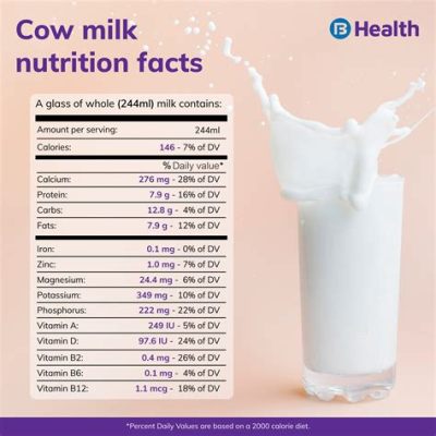 Does Premier Protein Contain Dairy: A Journey Through Nutritional Myths and Facts