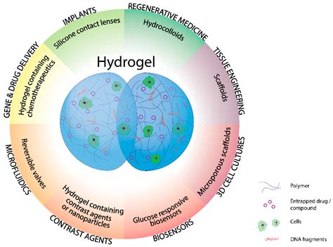 Hydrogels dans l'industrie pharmaceutique: révolutionner les systèmes de libération de médicaments !