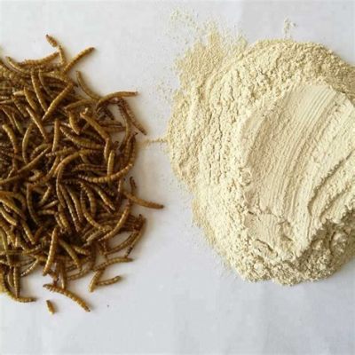 Is Protein Powder Made from Mealworms: A Dive into the Unconventional and Beyond