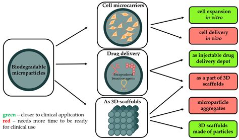 Lactide : Un polymère biodégradable révolutionnaire pour la médecine régénérative !