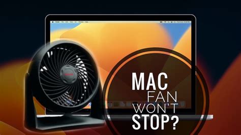 Mac Fan Won't Stop Running: A Symphony of Whirrs and Digital Desperation