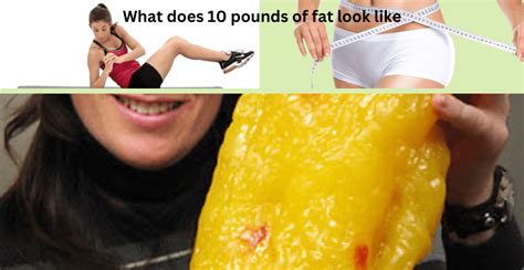 What Does 12 Pounds of Fat Look Like? And Why Does It Remind Me of a Melting Ice Cream Cone?