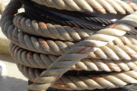 What Type of Rope Does Not Stretch: A Journey Through the Elastic and the Unyielding