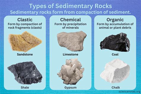 Which two minerals are most common in detrital sedimentary rocks? And why do they always seem to argue about the weather?